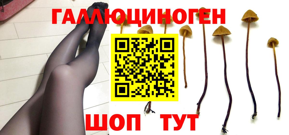 Псилоцибиновые грибы GOLDEN TEACHER  Вход с VPN  Вязьма 